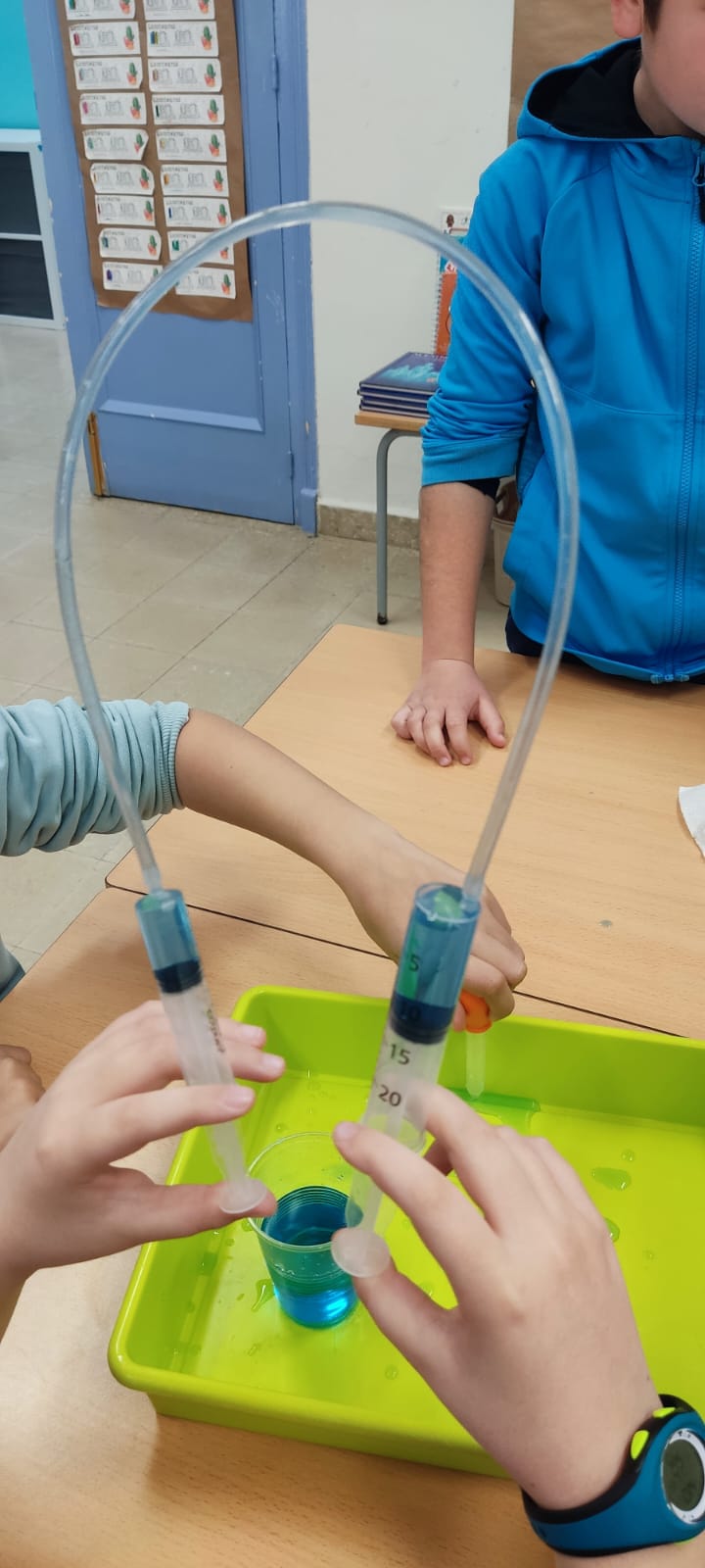 WhatsApp Image 2025-02-06 at 13.37.41 (2)