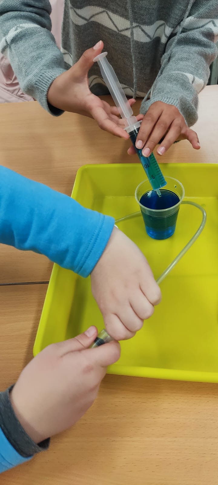 WhatsApp Image 2025-02-06 at 13.37.41 (3)