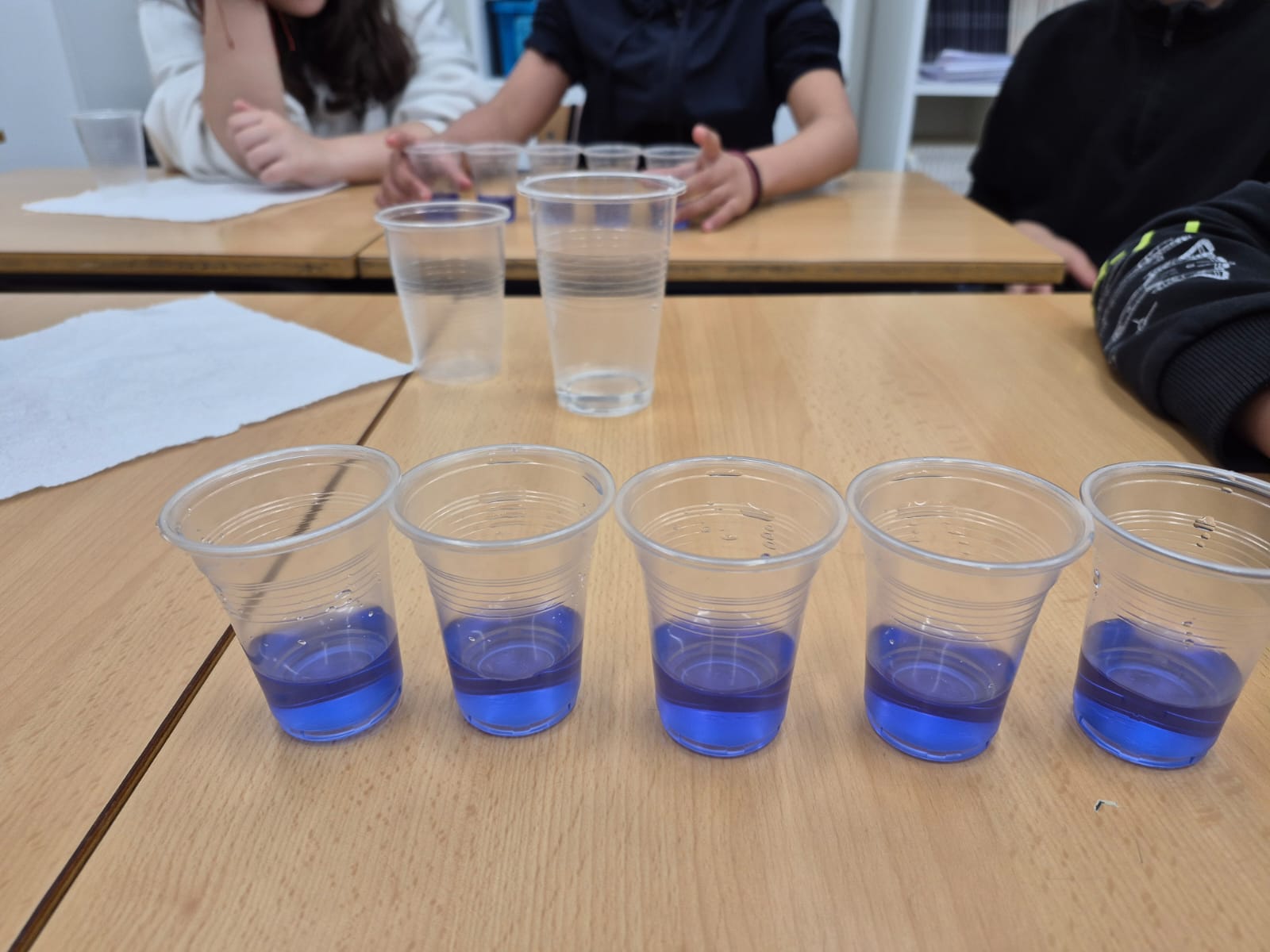 WhatsApp Image 2025-03-21 at 14.06.37 (2)