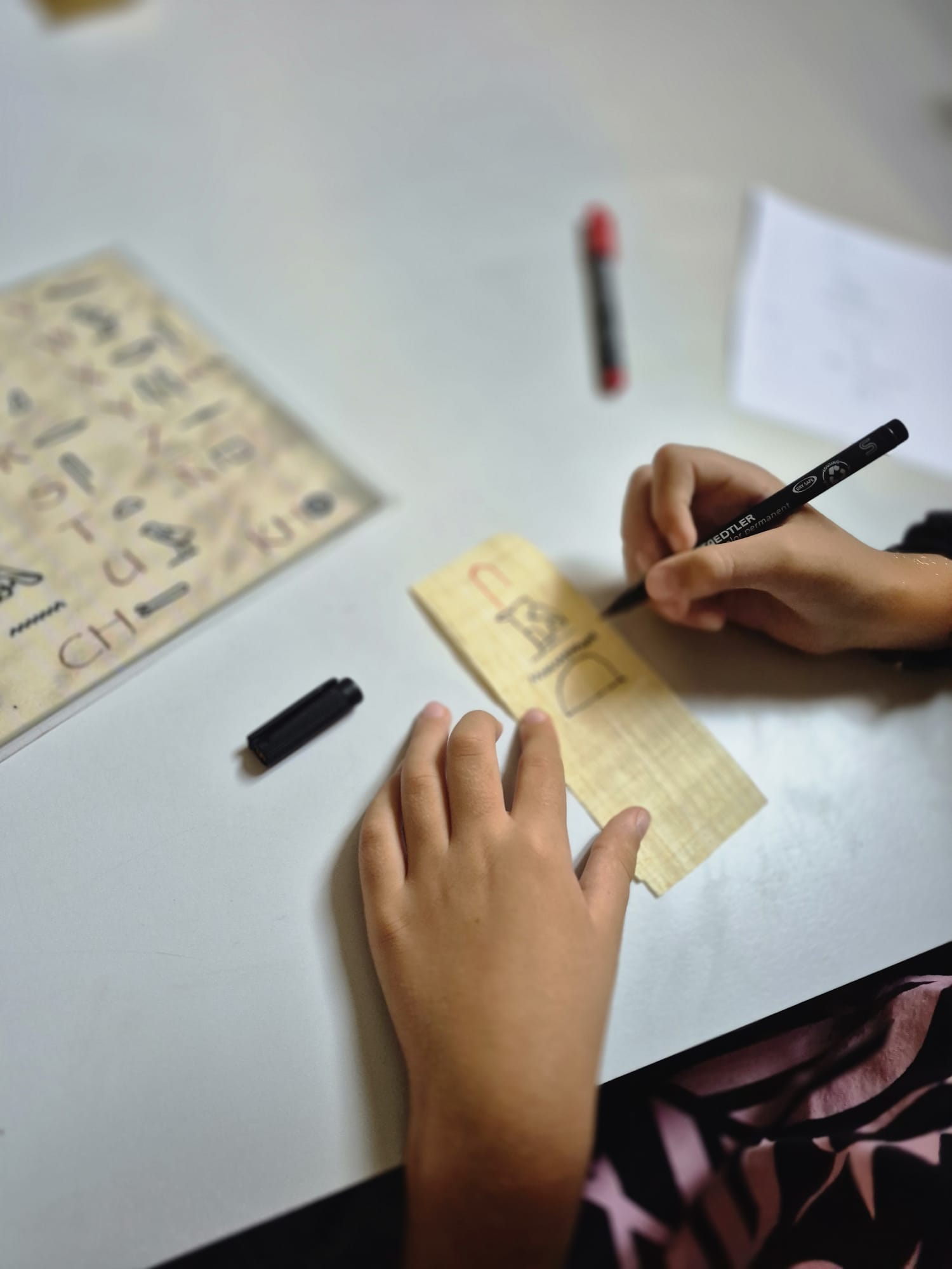 WhatsApp Image 2025-10-16 at 13.50.01