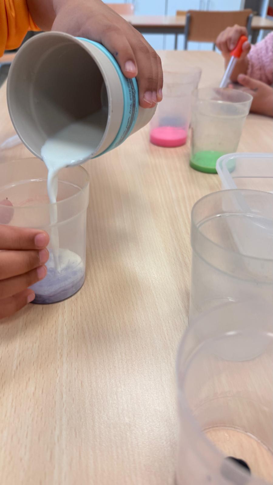 WhatsApp Image 2025-11-13 at 12.46.43 (1)