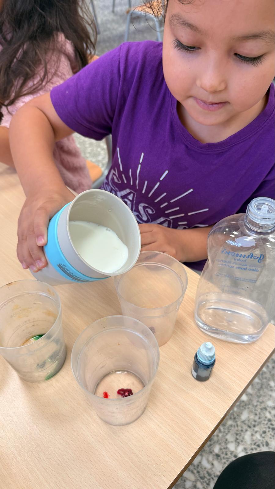 WhatsApp Image 2025-11-13 at 12.46.43