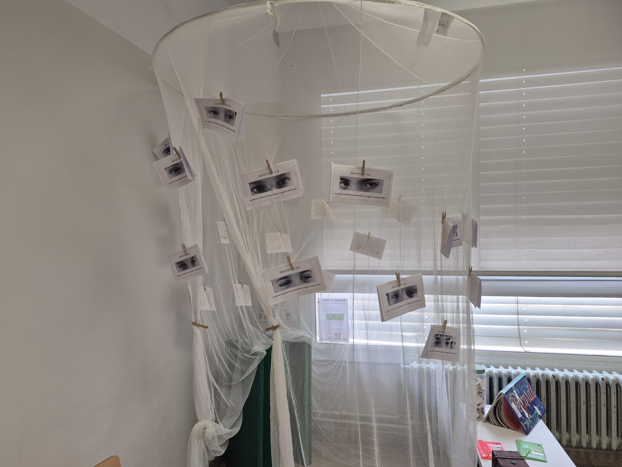 WhatsApp Image 2025-11-28 at 14.17.06