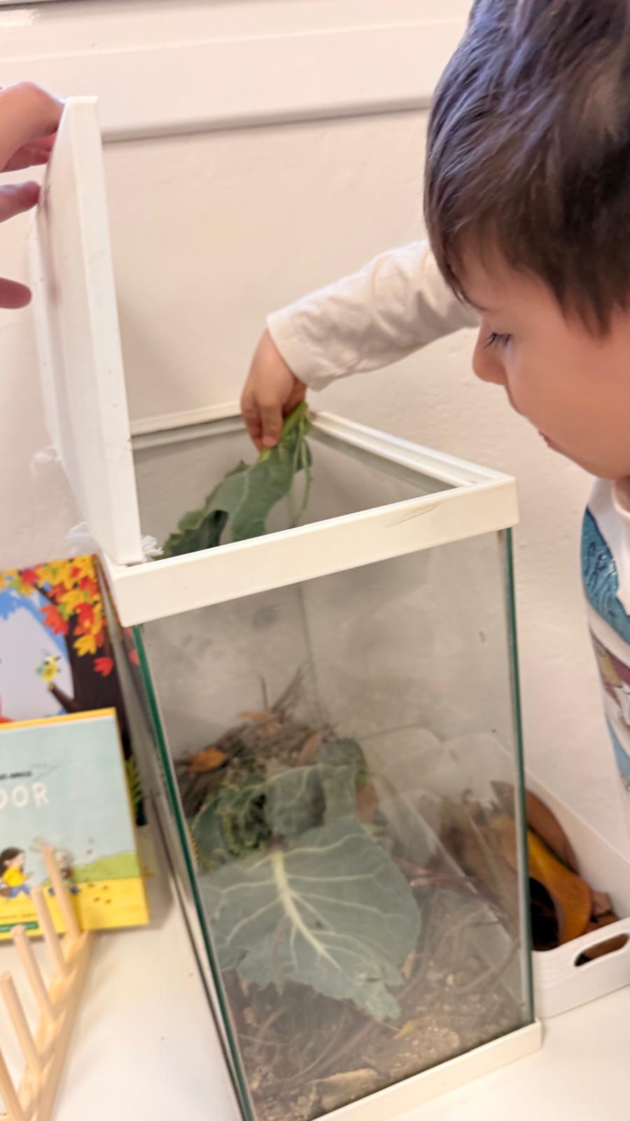 WhatsApp Image 2025-12-16 at 16.16.23