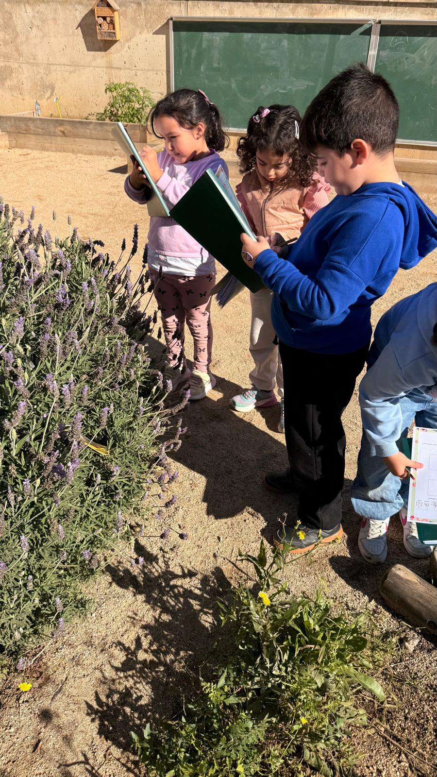 WhatsApp Image 2025-12-16 at 16.16.41