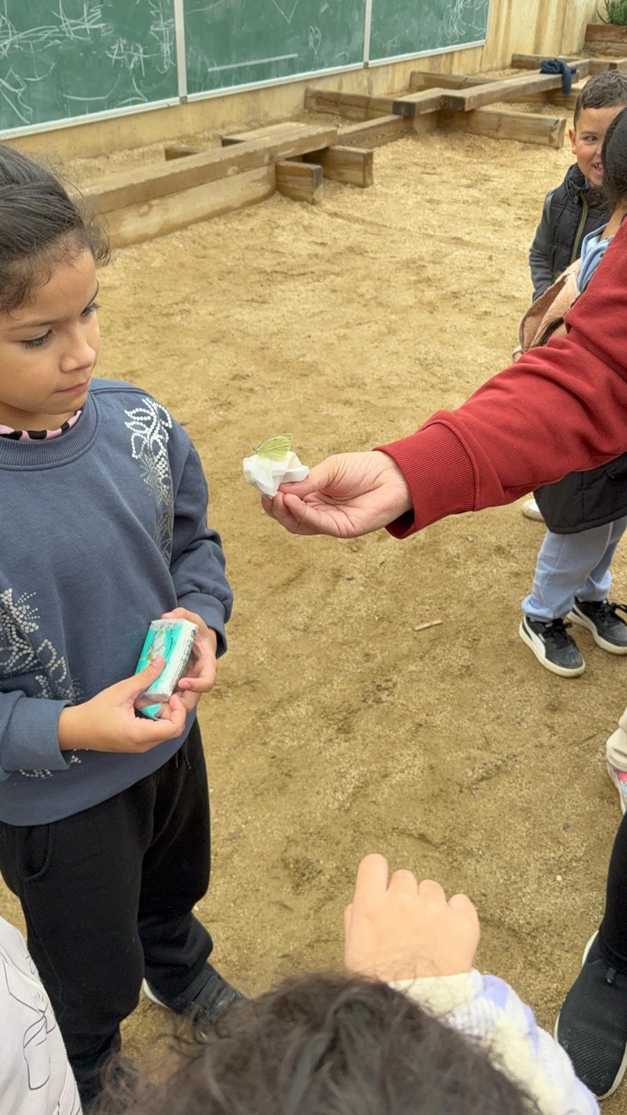 WhatsApp Image 2025-12-16 at 16.17.40