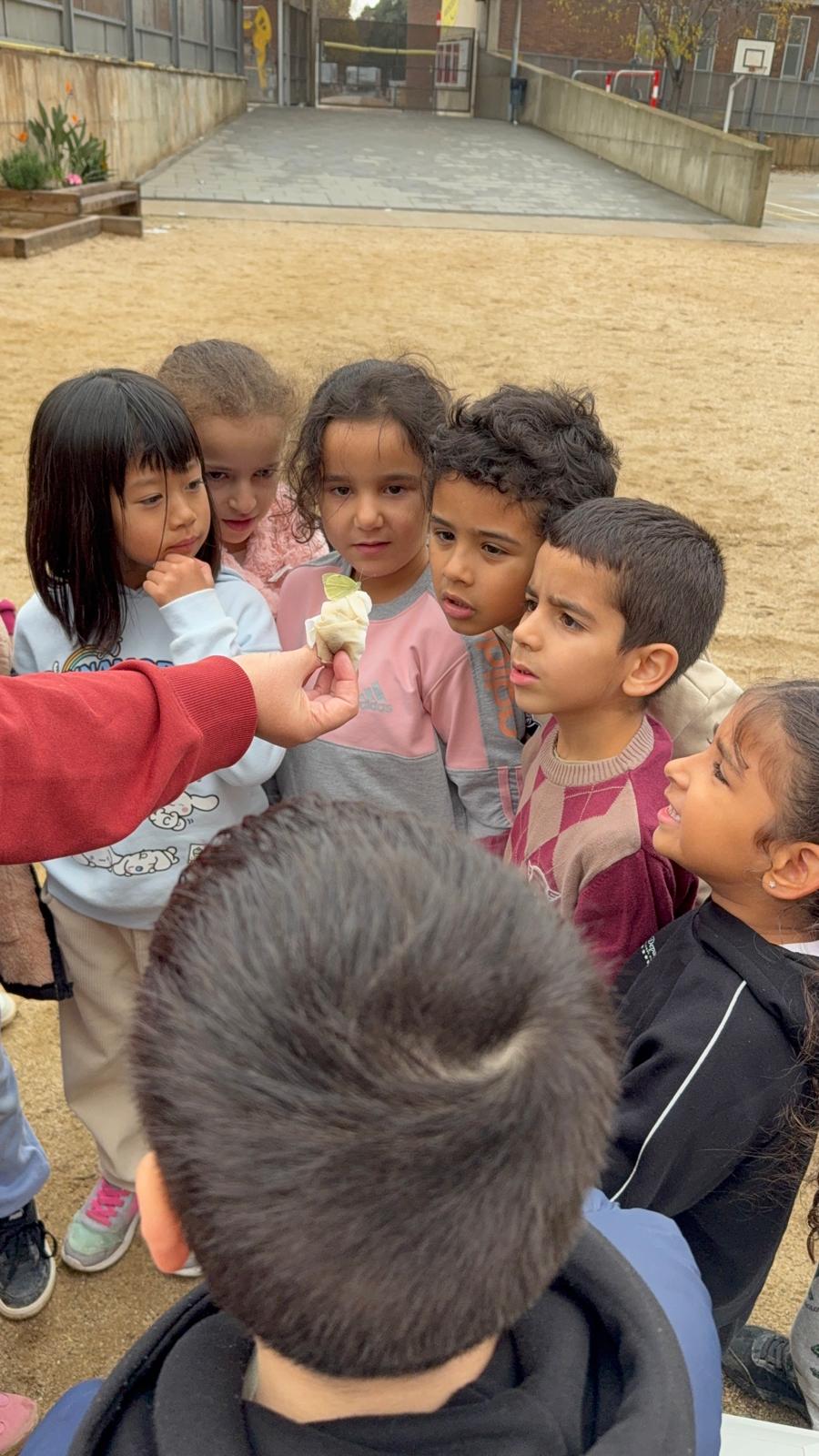 WhatsApp Image 2025-12-16 at 16.17.50