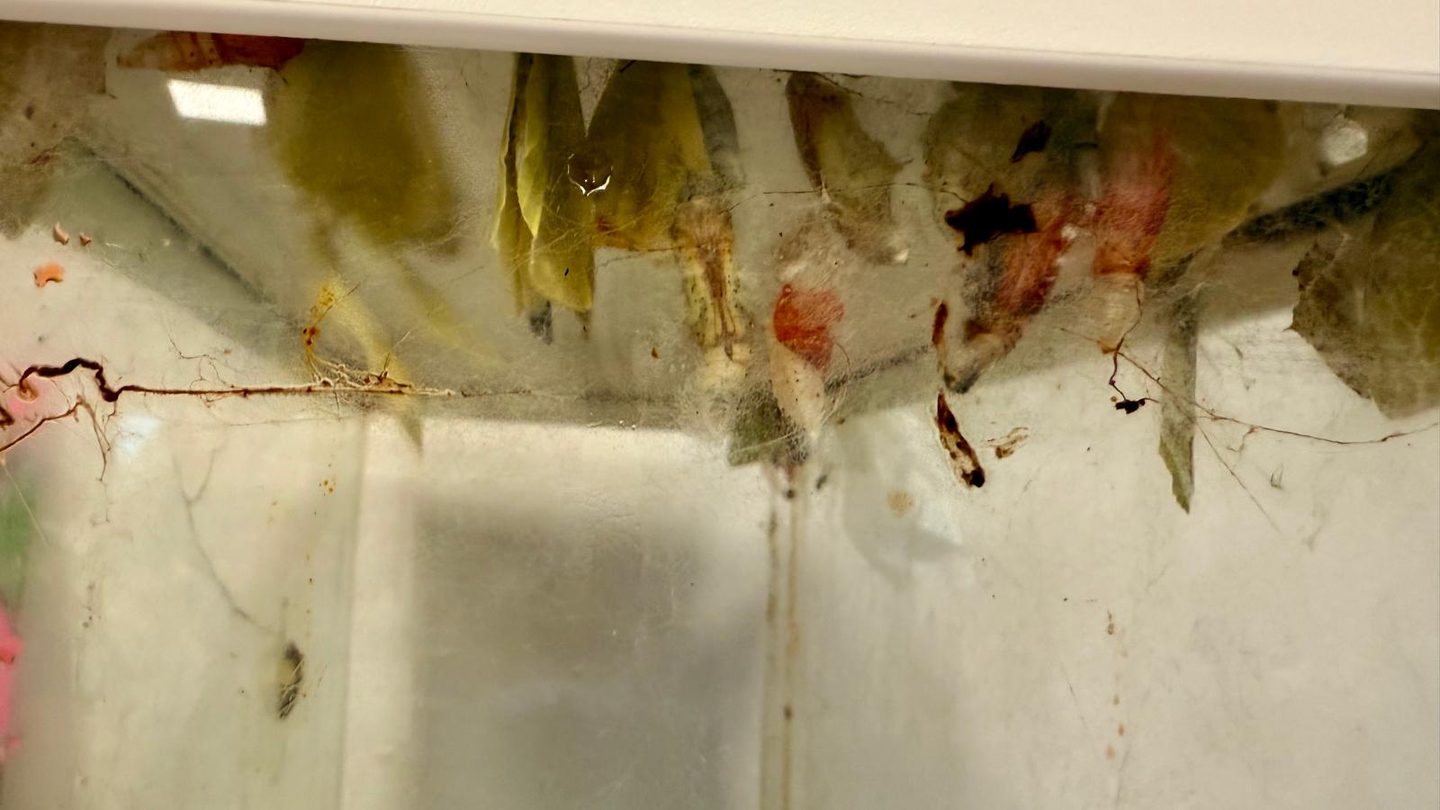 WhatsApp Image 2025-12-16 at 16.18.46