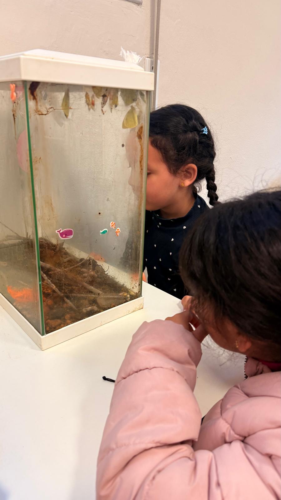 WhatsApp Image 2025-12-16 at 16.19.19