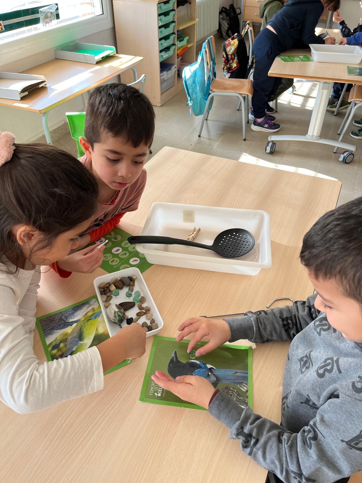 WhatsApp Image 2026-01-22 at 12.27.14