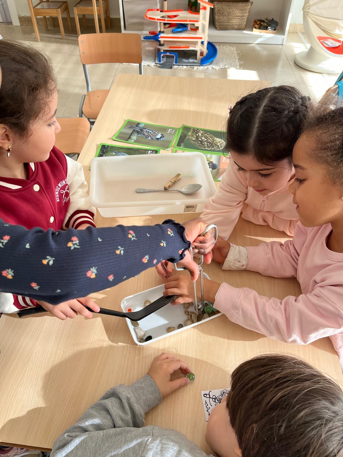 WhatsApp Image 2026-01-22 at 12.27.15