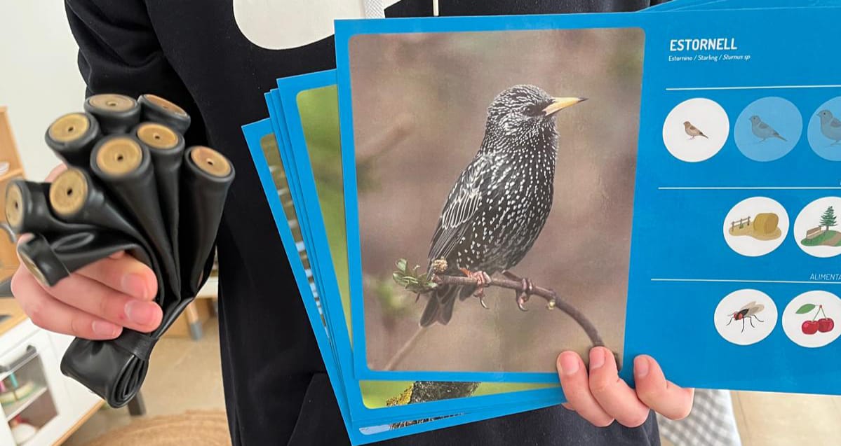 WhatsApp Image 2026-01-22 at 12.28.26 (1)