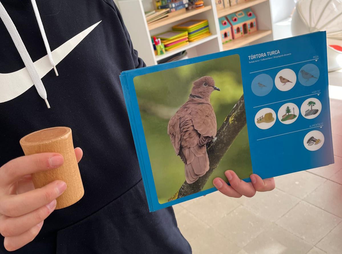 WhatsApp Image 2026-01-22 at 12.28.26