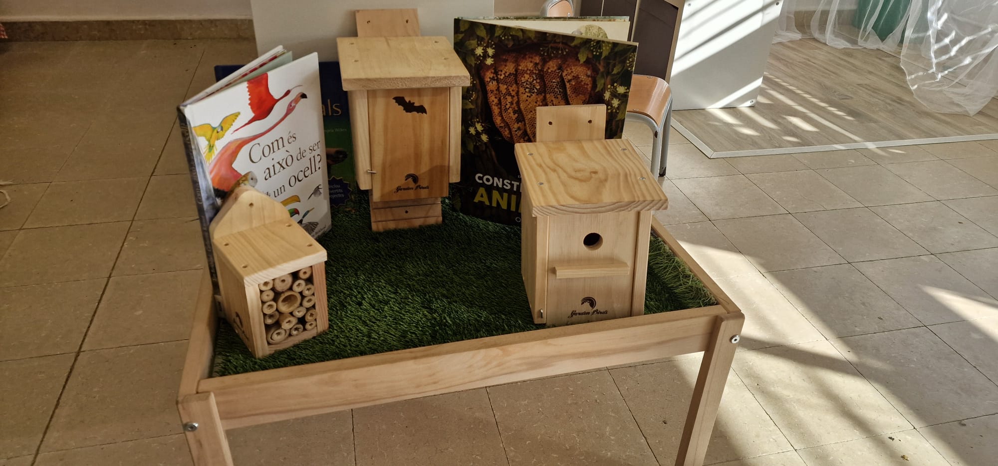 WhatsApp Image 2026-01-22 at 13.17.32 (1)