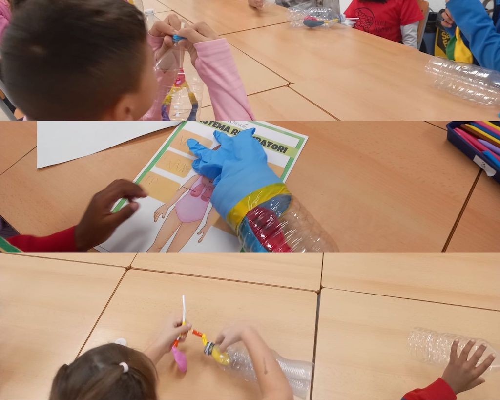 Disseny sense títol - 1