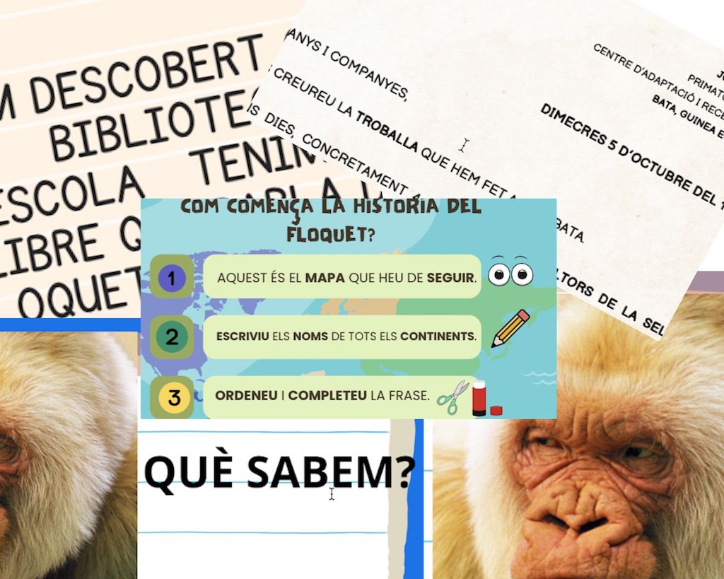 Disseny sense títol - 1