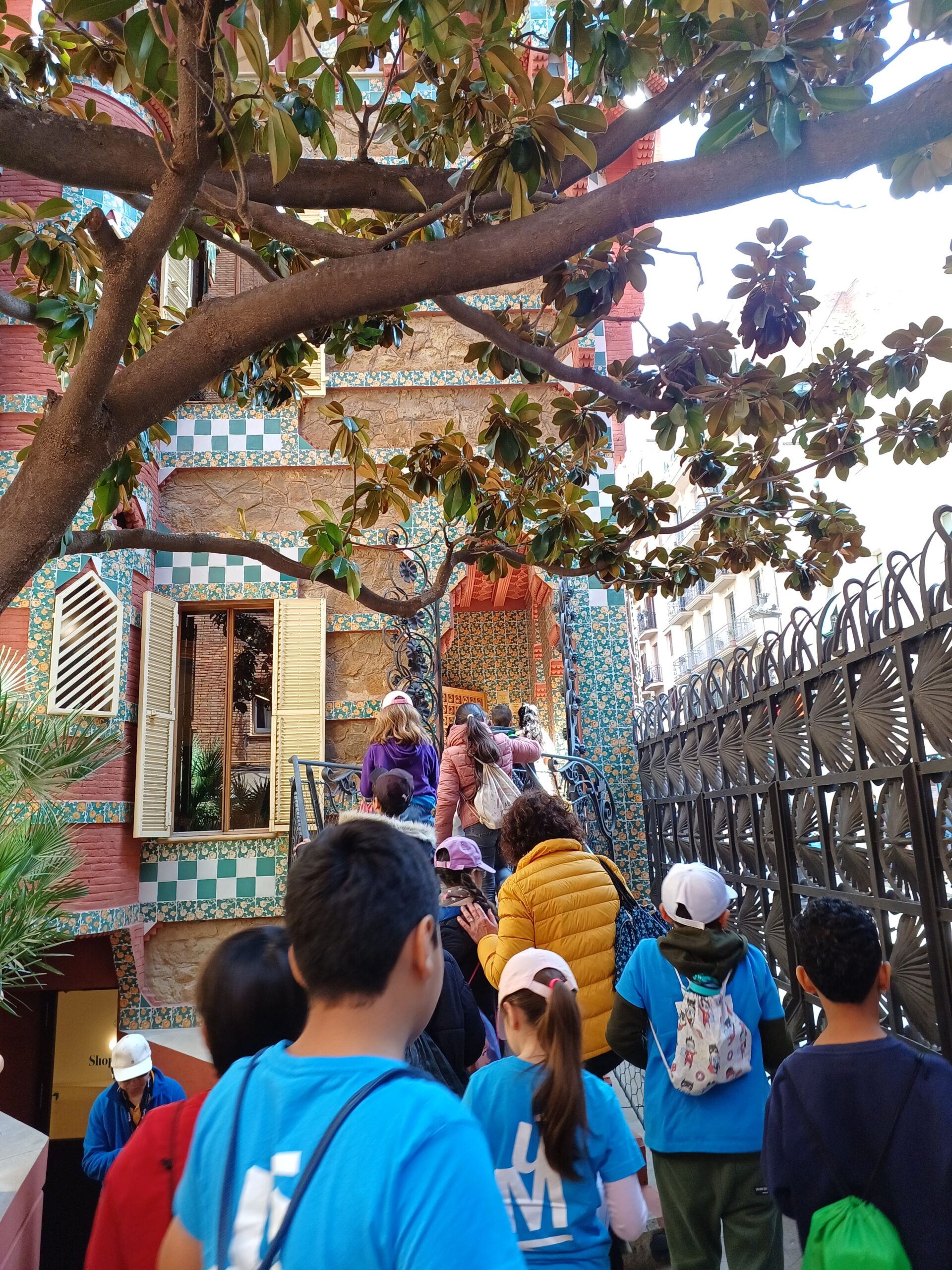 Còpia de 20250327_110231