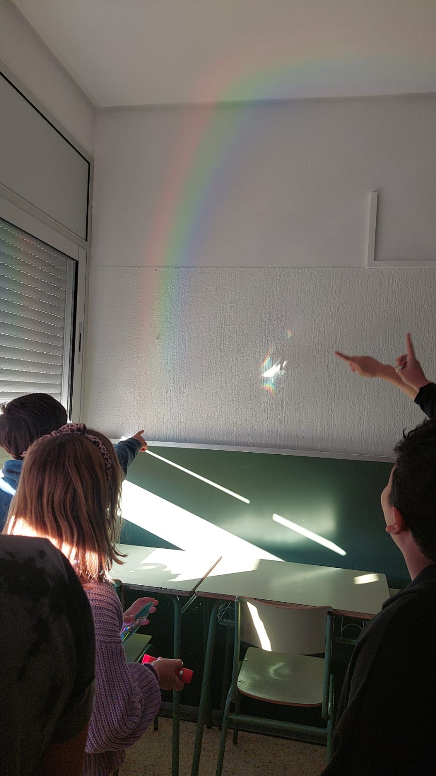 Cienrífic tortugues