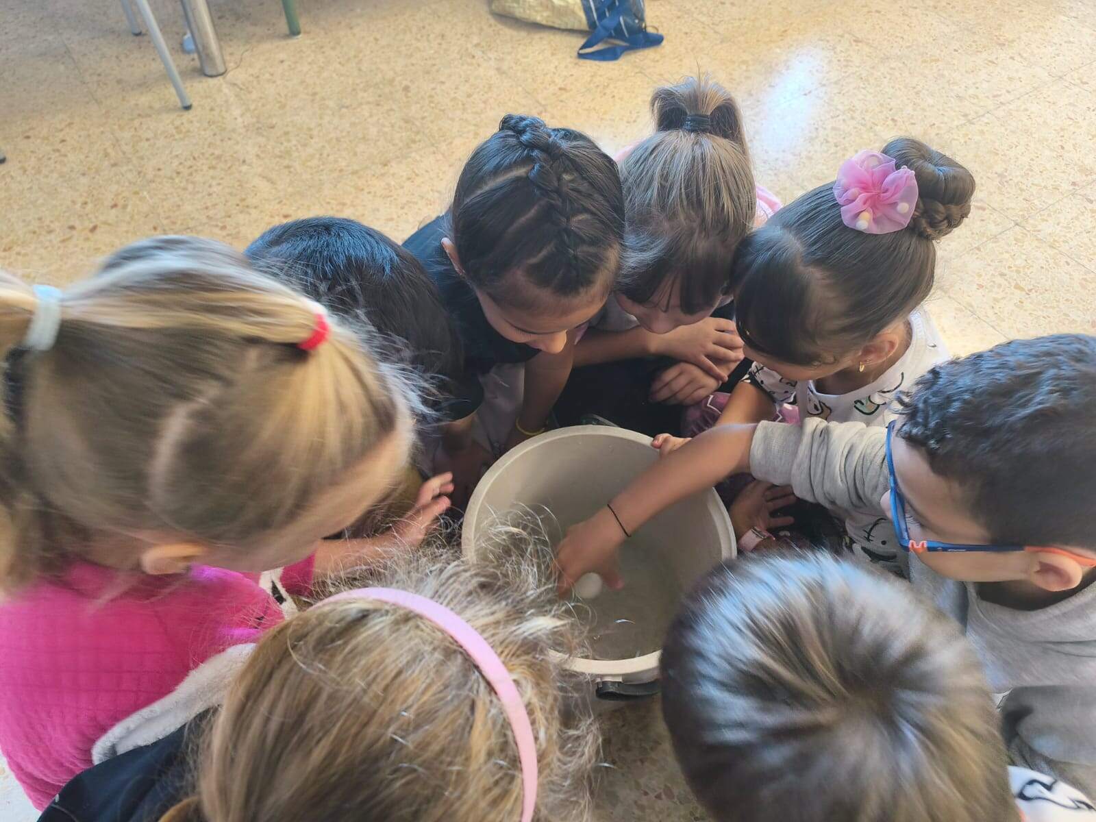 WhatsApp Image 2025-12-10 at 19.11.40 (2)