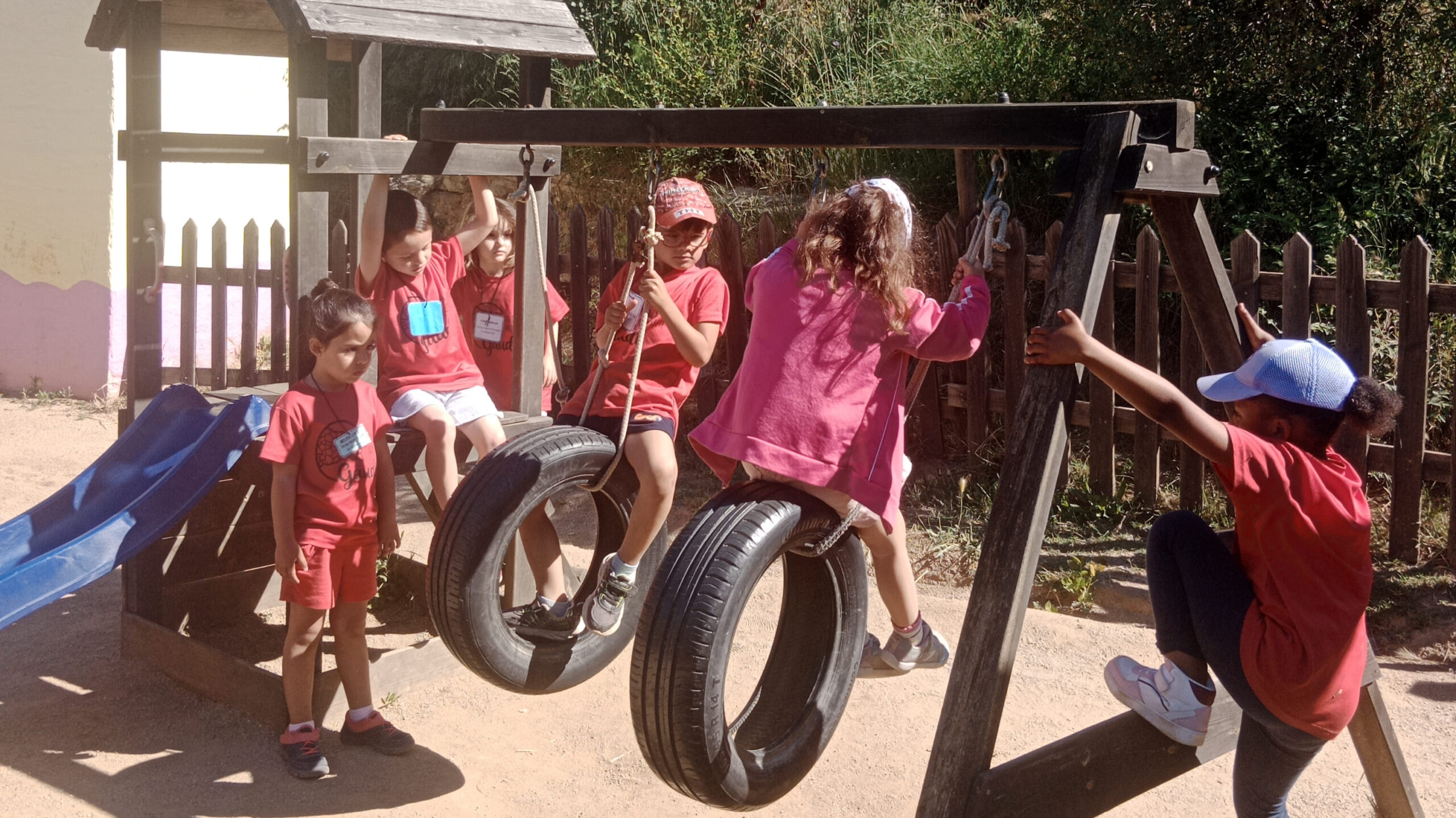 IMG_20260530_084337
