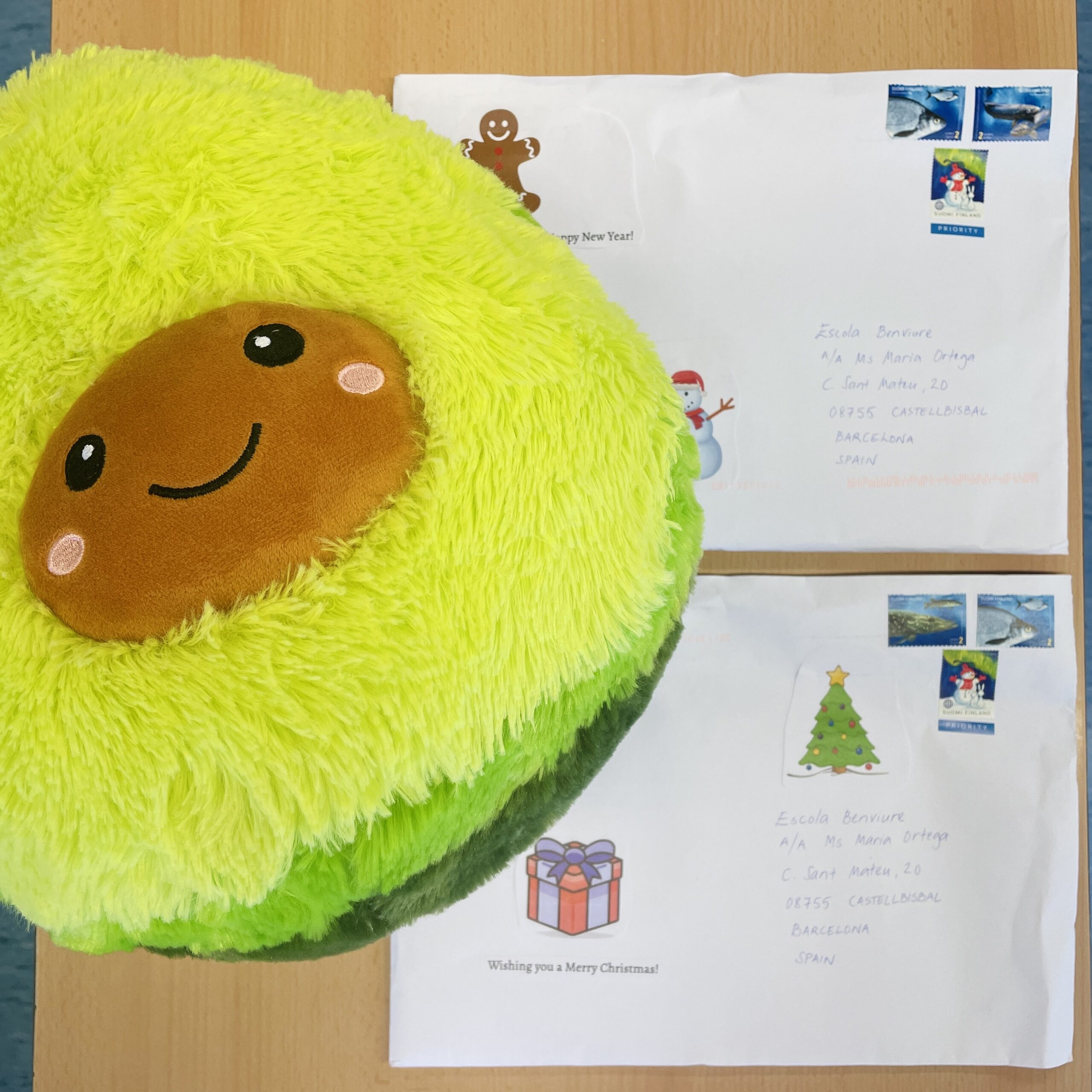 displaying-our-science-christmas-cards-escola-benviure