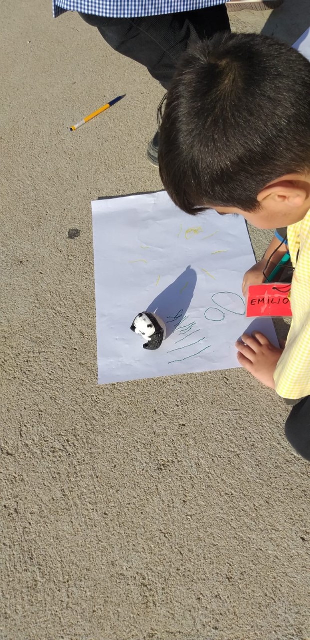 thumbnail_5d104ce7-a71d-49d1-9832-f3b2608cd802