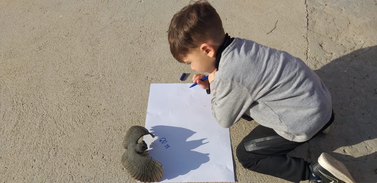 thumbnail_b4e805cb-8880-48a5-8ac9-c91c9632423b