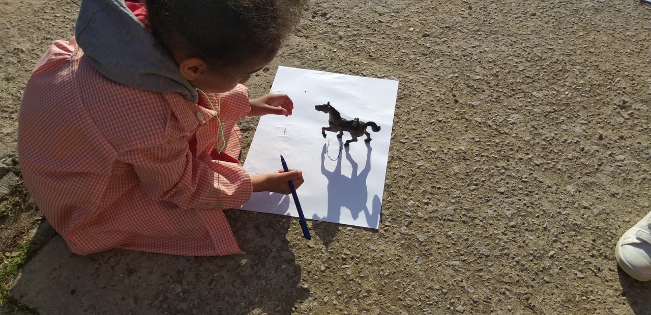 thumbnail_c8dc404c-0bf1-4322-9e27-2e80efd98d94