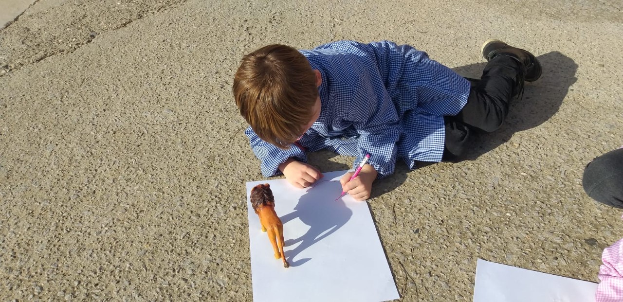 thumbnail_dbd3b628-14a8-4fde-930c-5d293c44b6ac