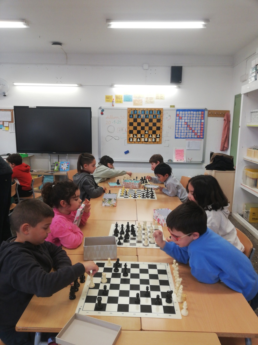 Tellfy_20250120_120505