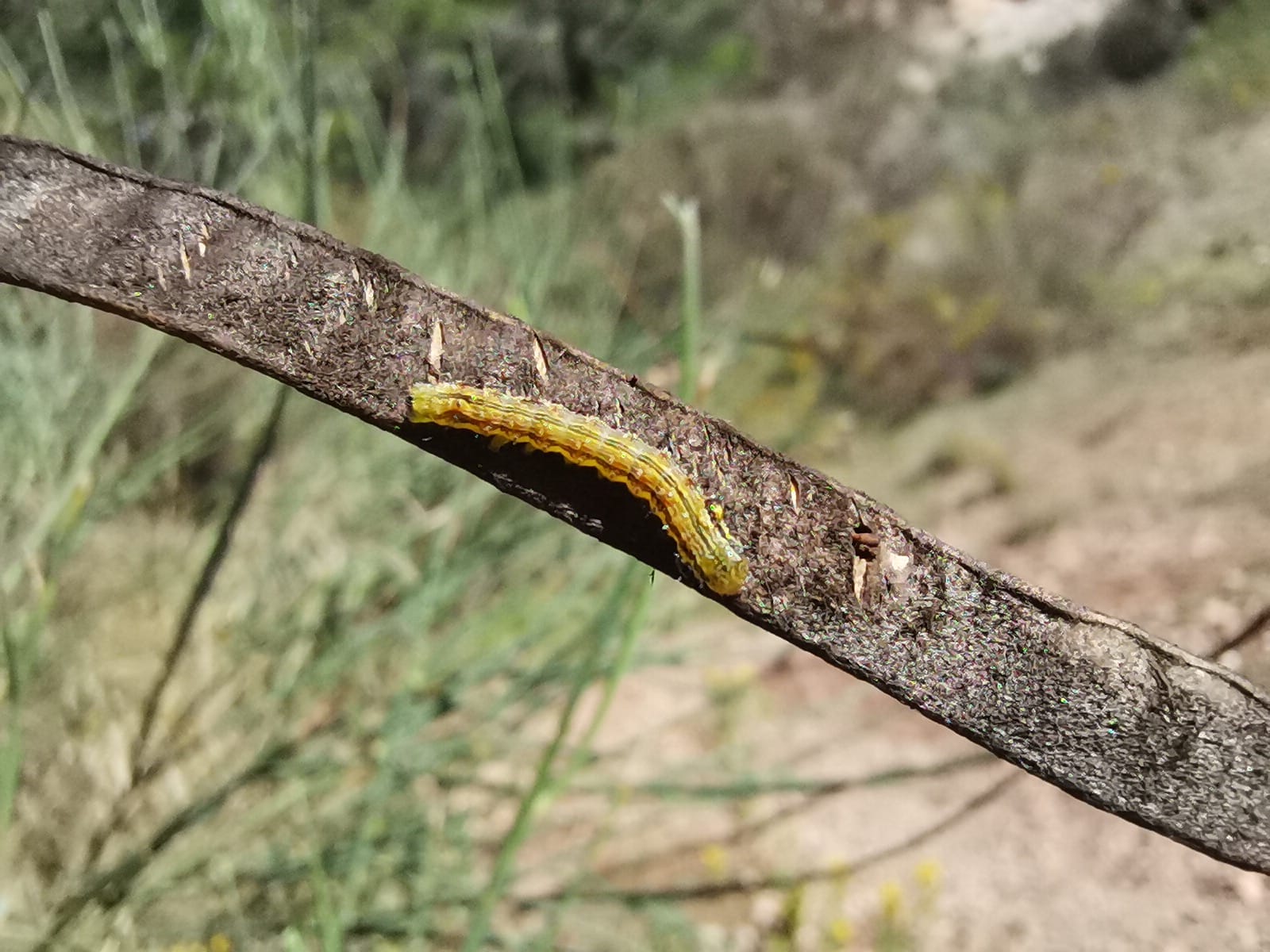 WhatsApp Image 2024-02-15 at 11.53.32 (1)