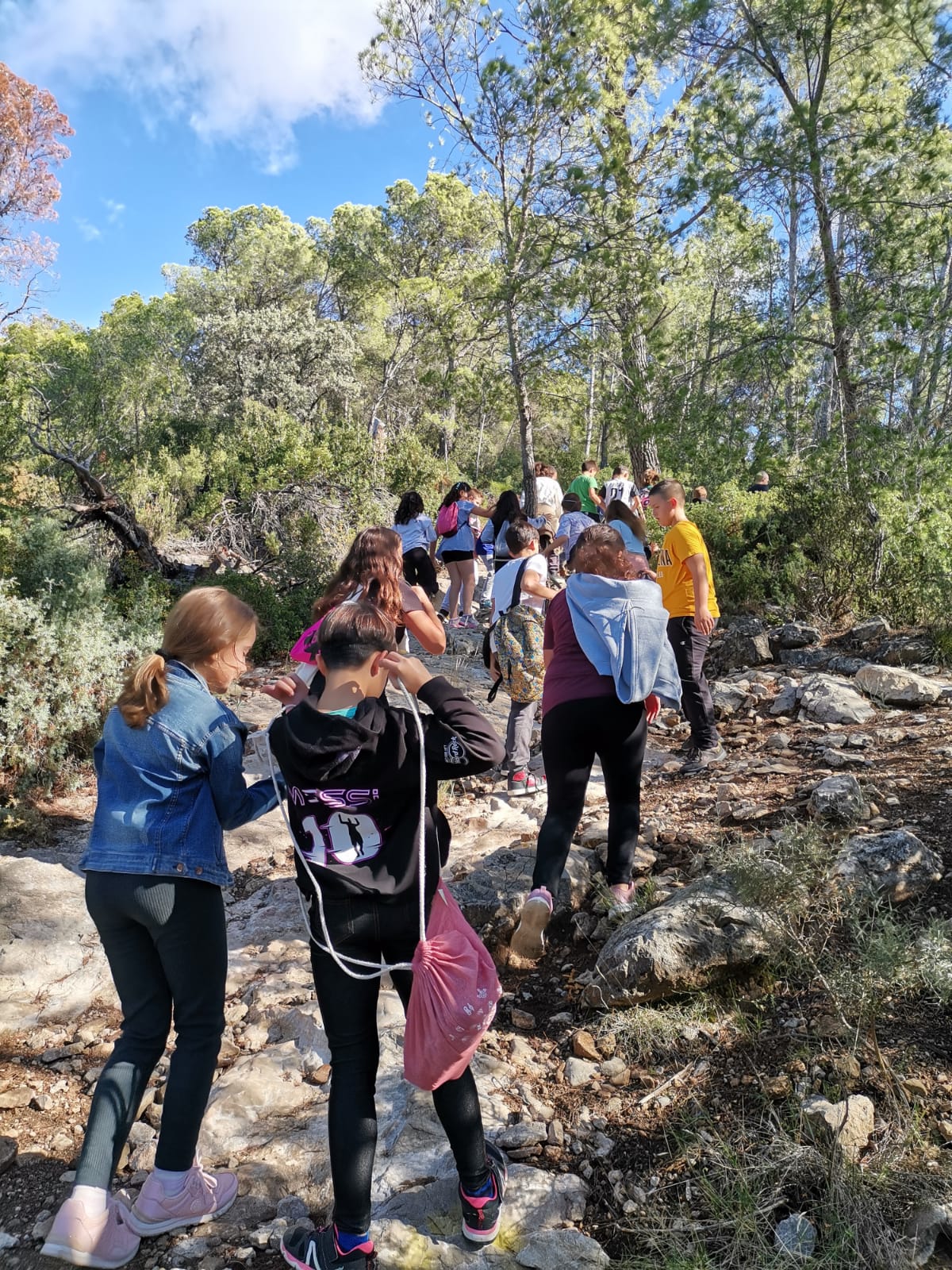 WhatsApp Image 2024-02-15 at 11.53.32