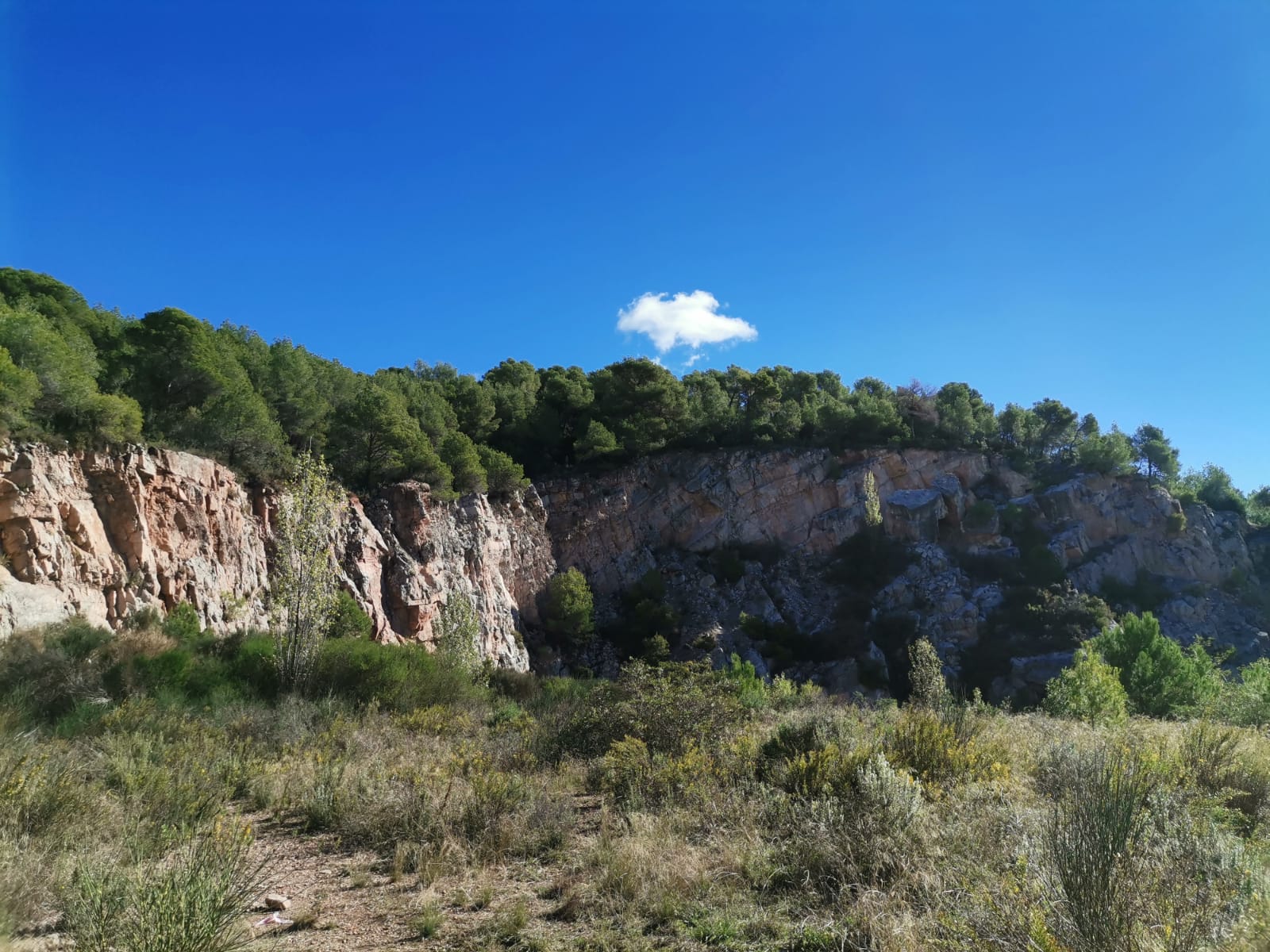 WhatsApp Image 2024-02-15 at 11.53.33