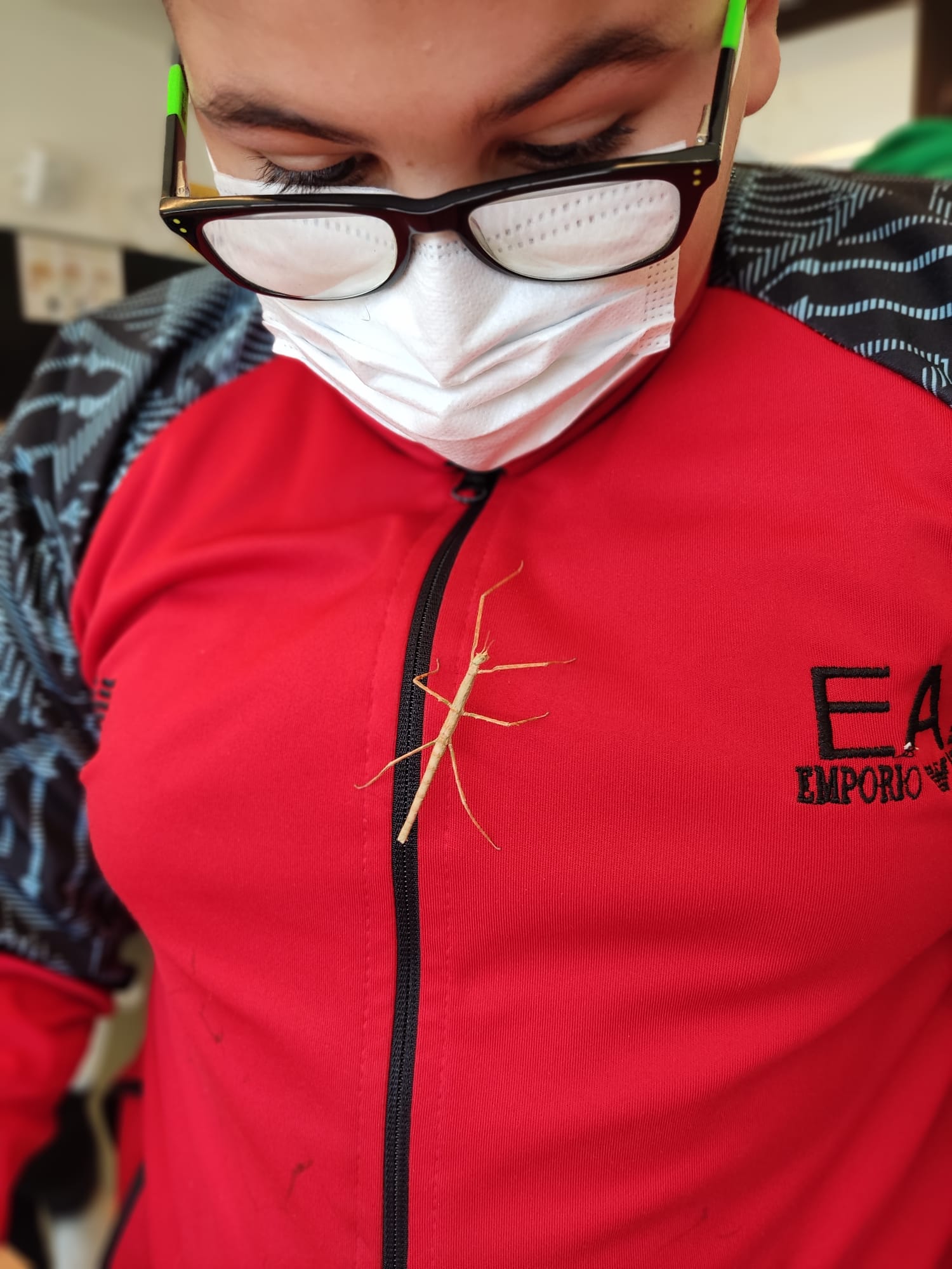 0d010d02-5395-4ecc-beba-e32dec38c145