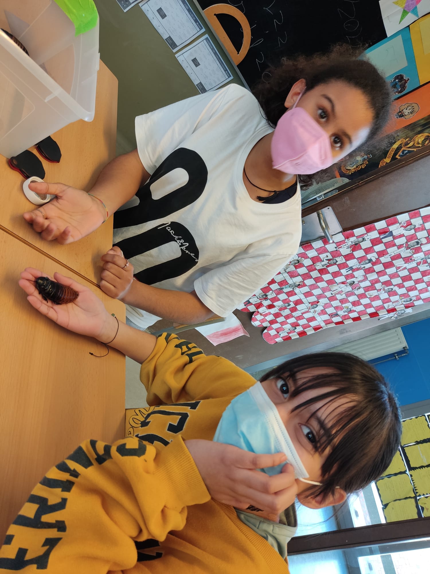 12c60260-2812-468c-a60e-1b9b70708cd0