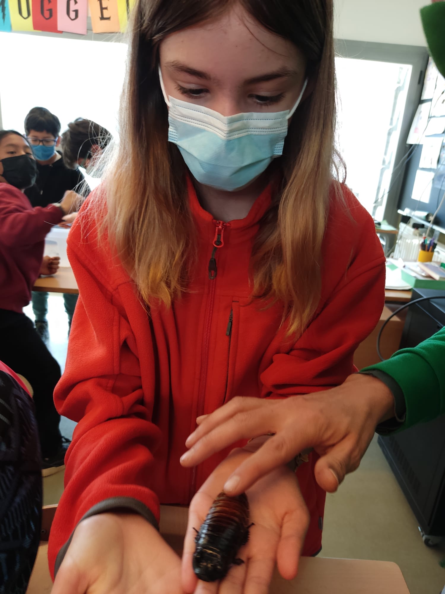 1bd85a5f-1395-4337-9dcf-f61038684e00