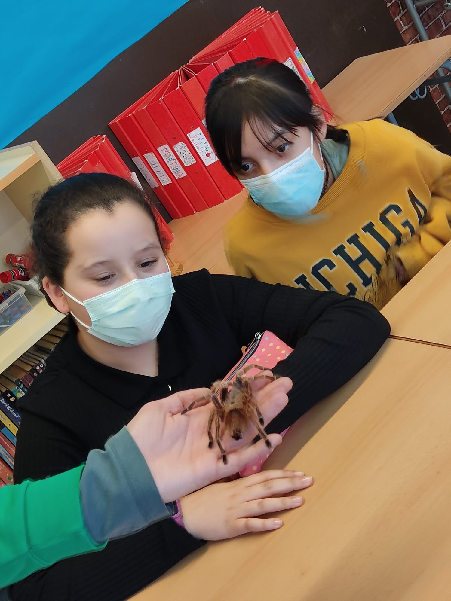 325a11cb-e7cf-461d-bb8e-a2ae5995aed6