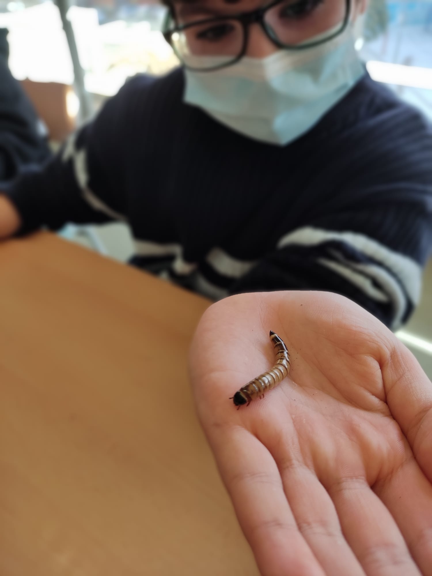 6515c213-cfbb-4b18-97c9-2cf9bf5aca47