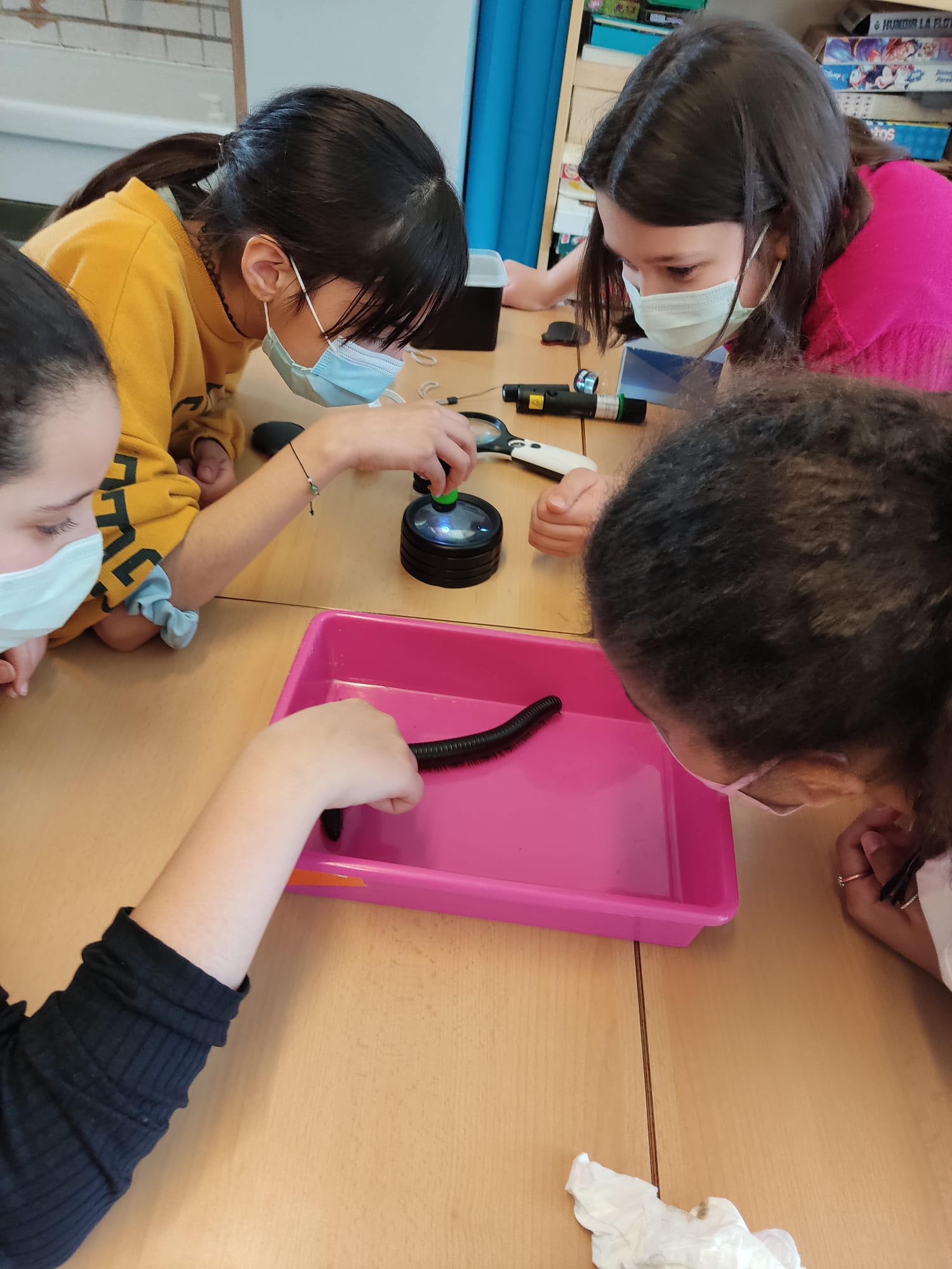 73c3b1e5-8a2d-4a75-808f-a4d249b3df8a