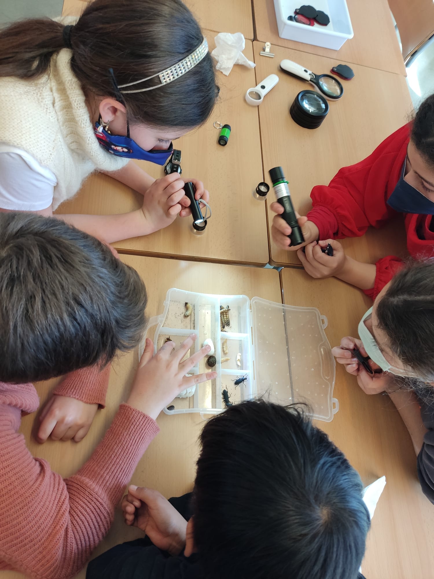 7477235f-c18b-448b-8502-d60577d87512