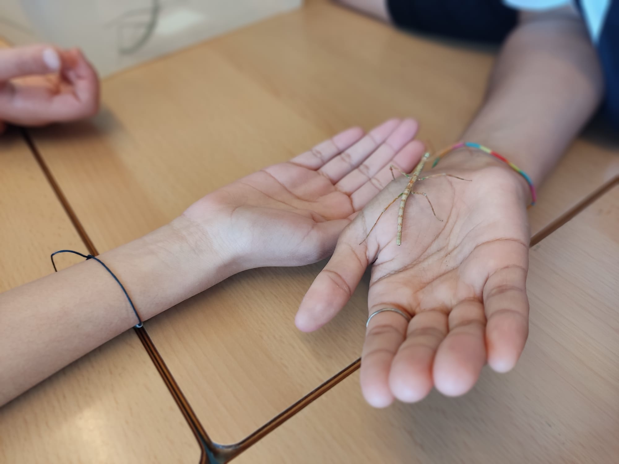 96bf7b32-21af-4b79-943b-fa9a30dd4cc9