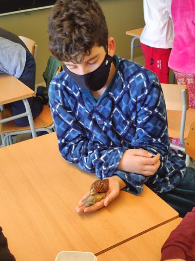 IMG_20220224_154907_opt