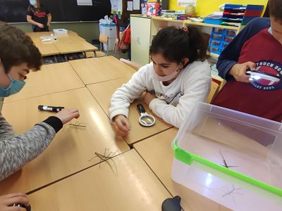 IMG_20220224_155512_opt