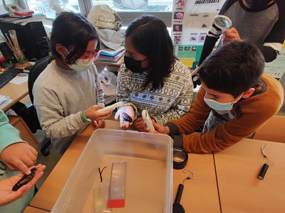 IMG_20220224_155642_opt