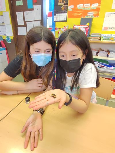 IMG_20220224_155718_opt