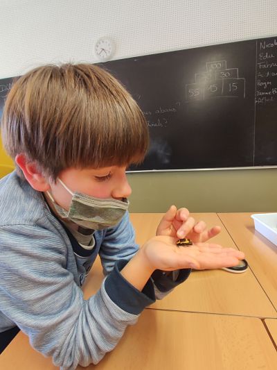 IMG_20220224_155924_opt