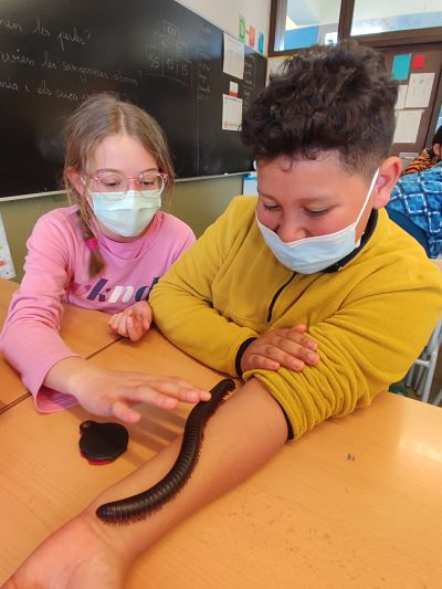 IMG_20220224_160119_opt