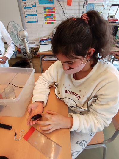 IMG_20220224_160332_opt