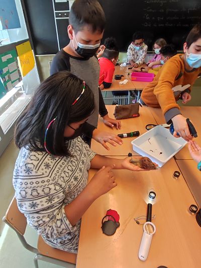 IMG_20220224_160509_opt