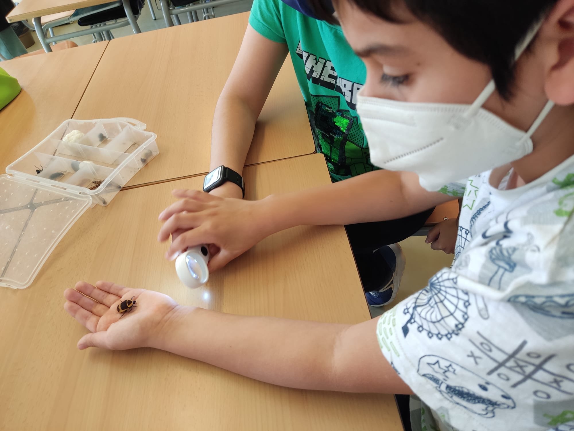 a678291d-4be9-44ad-83a2-28d22bba9092